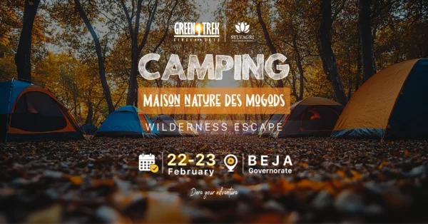 CAMPING [NEFZA] MAISON MOGODS – WILDERNESS ESCAPE